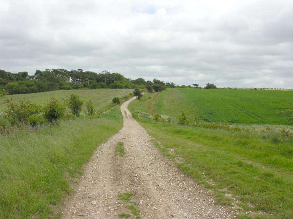 The Ridgeway