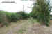 The lane where Lieutenant Nicholls and his men were captured