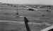 Abandoned Horsa gliders on one of the landing zones