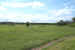 A recent photograph looking across the Merville Battery
