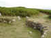 Holyhead Mountain Hut Group