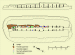 Midhowe_plan.GIF (18862 bytes)
