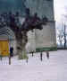 Mark Leaver, outside Oosterbeek Church, 1996, standing beside the tree which saved his life