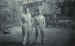 Richard Maryan after his escape from a POW camp