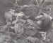 A dead Airborne soldier