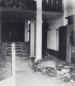 The entrance hall of the White House