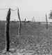 "Asparagus", wooden stakes to combat glider landings