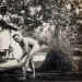 The Private Robert Hendrie Collection