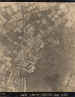 A reconnaissance photograph of the Bois de Bavent on the 5th July 1944
