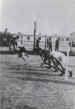 Sports Day