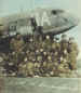 Believed to be No.5 Platoon, "B" Company, 8th Parachute Battalion, shortly before take-off