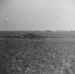 Horsa gliders on a landing zone